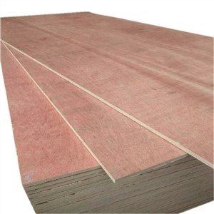 Ipaayan iti atension ti moisture-proof a plywood iti matutudo a paniempo--山东云...