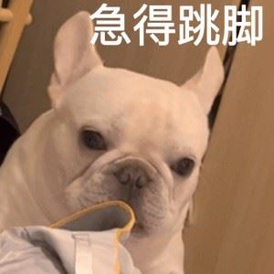 ergggdfdh435435 .
