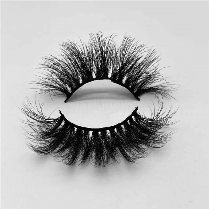 20231220gliss1.